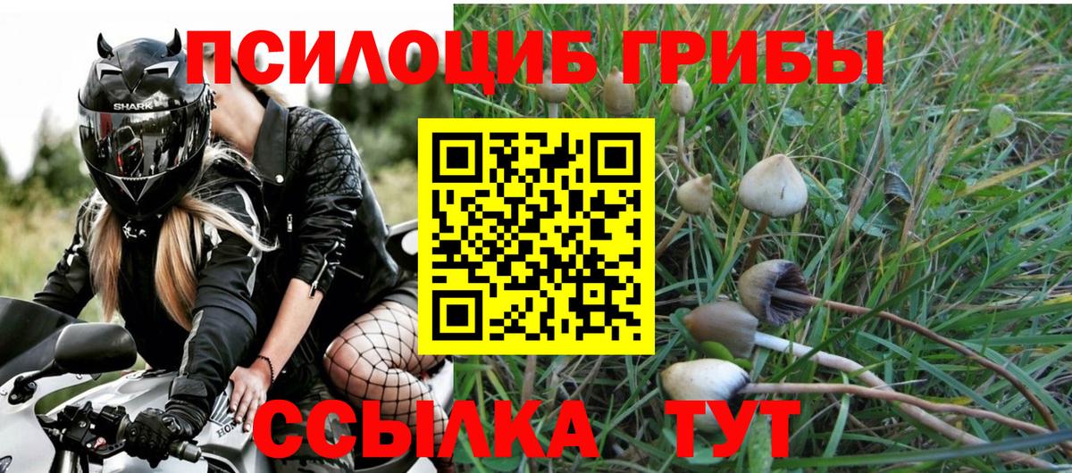 Псилоцибиновые грибы GOLDEN TEACHER Лыткарино