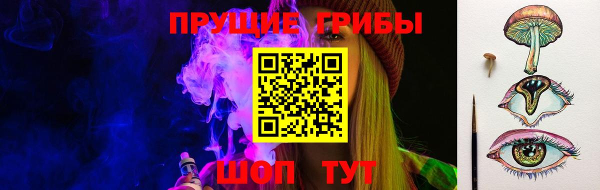 Галлюциногенные грибы GOLDEN TEACHER  купить наркотики цена  Лыткарино  Вход с VPN 